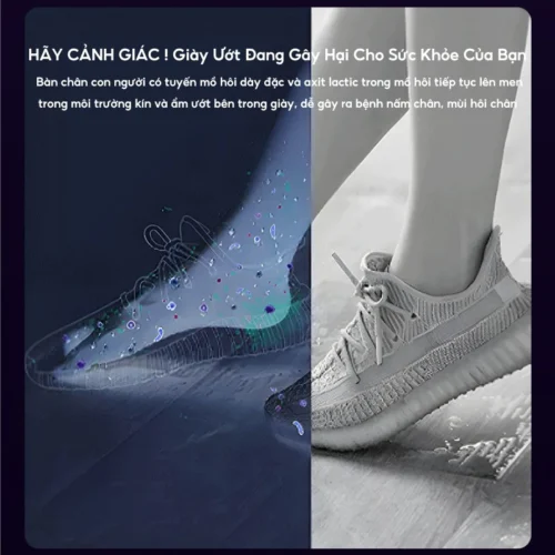 Máy sấy giày gấp gọn, khử mùi, khử trùng cao cấp 9
