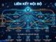 Internal Link là gì? Cách xây dựng và tối ưu chuẩn SEO