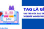 Tag của bài viết là gì? Hướng dẫn sử dụng chuẩn SEO giúp web tăng hiệu quả tìm kiếm