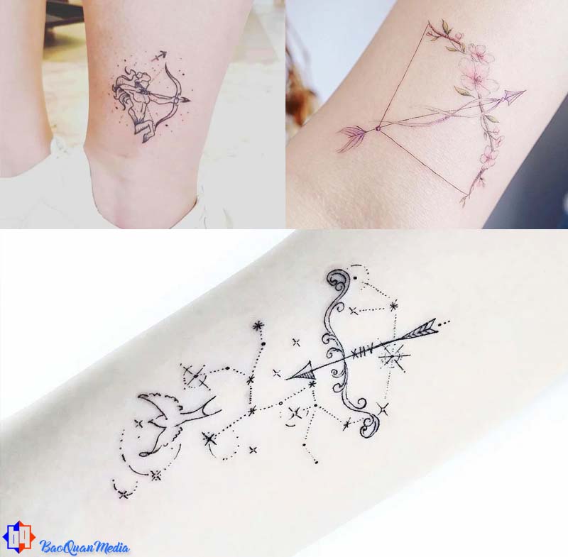 Hình vẽ phù hợp nhất dành cho cánh cung