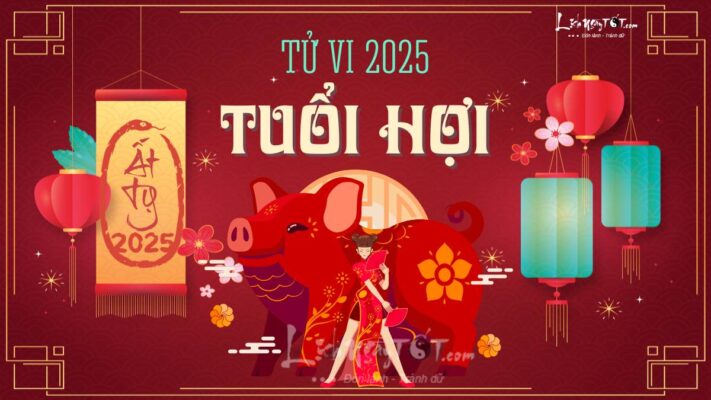 Xét vận trình tuổi hợi năm nay 2025