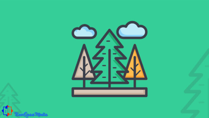 Evergreen Content là gì đối với người triển khai nội dung