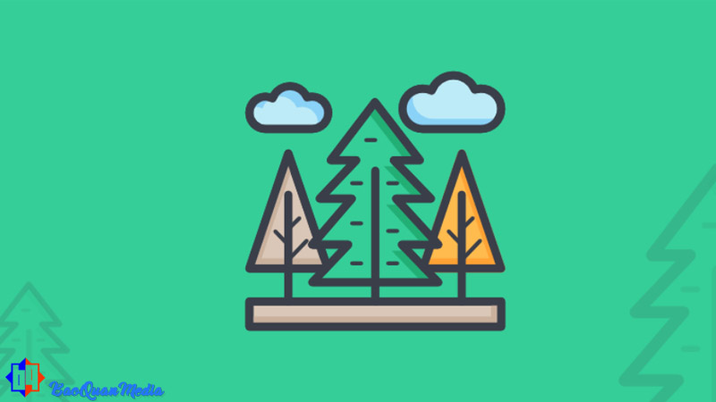 Evergreen Content là gì đối với người triển khai nội dung