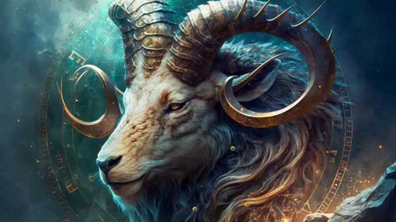 hành động của ma kết khi biết ma kết ghét cung gì?