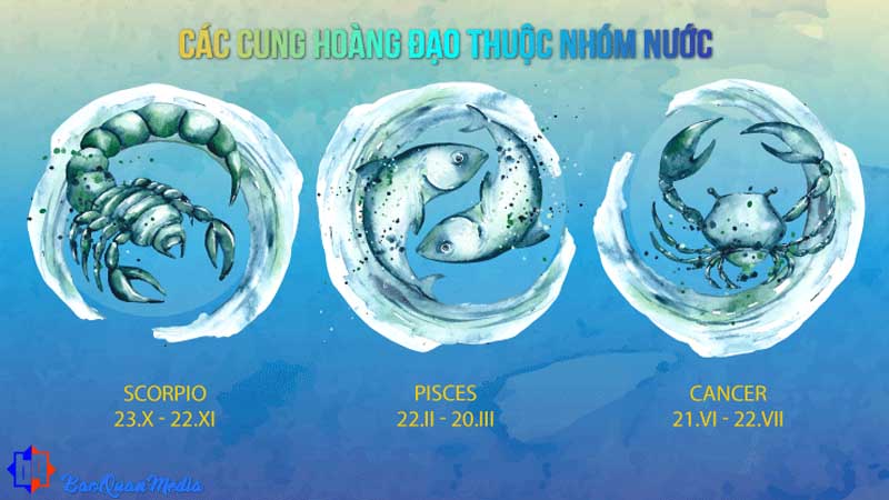 Thư giãn cảm xúc cho nhóm Nước (Cự Giải, Bọ Cạp, Song Ngư)
